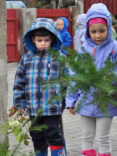 Foto: Ziua Pacii - Gradinita Teddies Baia Mare